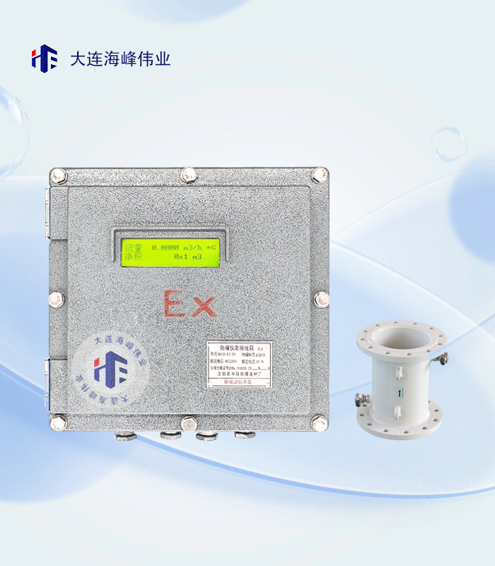 防爆BT6管段式超声波流量计